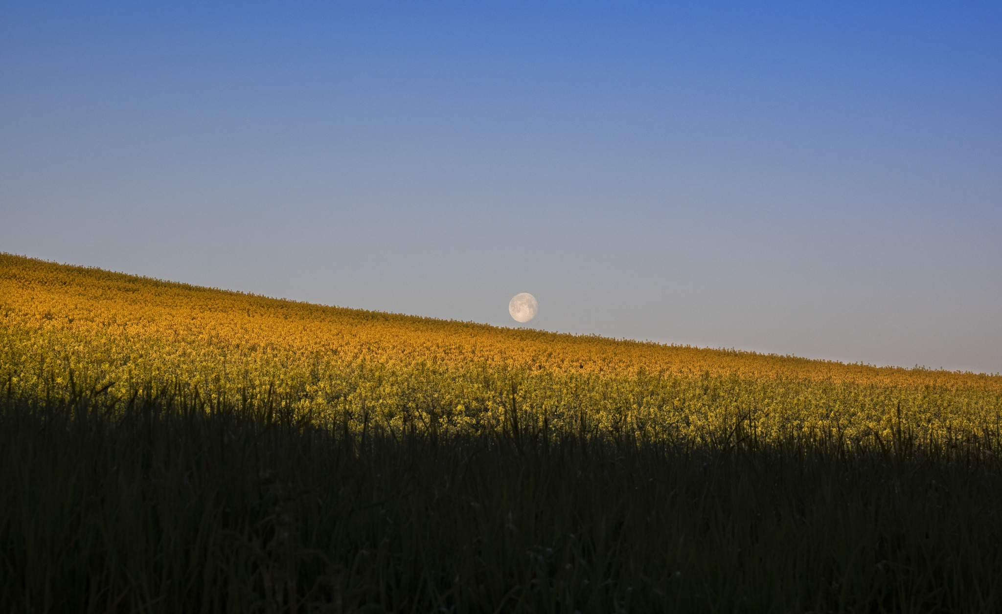 Boxted Moon Rise