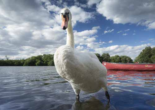 Salhouse Broad