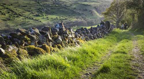 Stone Wall